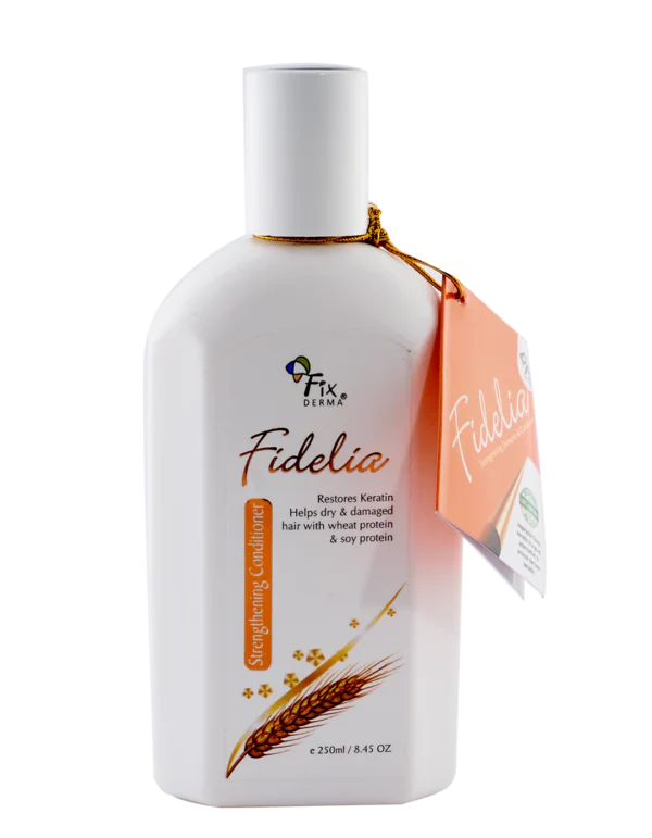 Fidelia Strengthening Conditioner with Shea Butter & Wheat Protein for Frizzy & Dry Hair | Conditioner for Women & Men | Hair Conditioner ( Pack of 2 )