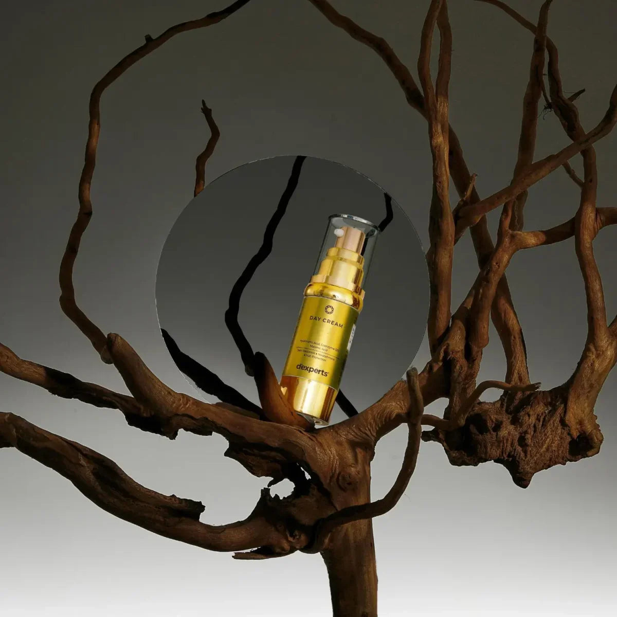 d'experts Day Cream With Hyaluronic Acid, Coenzyme Q10 & Maslinic Acid for Reduces Dark Spots & Pigmentation, Helps in Sun Protection, Skin Radiance & Nourishment for All Skin Types 30g